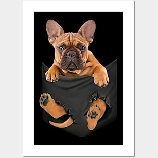 French bull dog with love Posters and Art